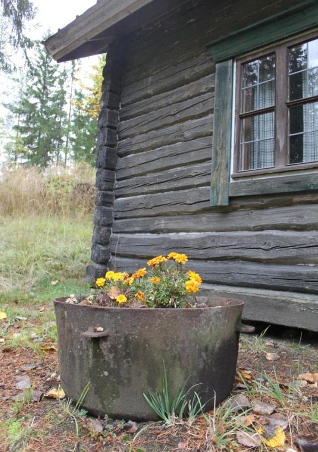 Hotel Loydon Kartano Camping Ristiina Zewnętrze zdjęcie